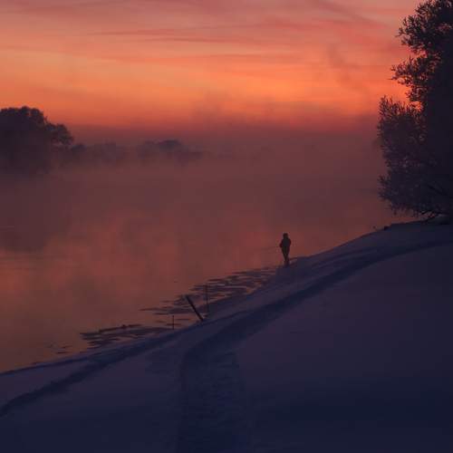 Photo #13342114
