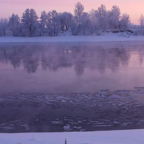 Photo #13342115