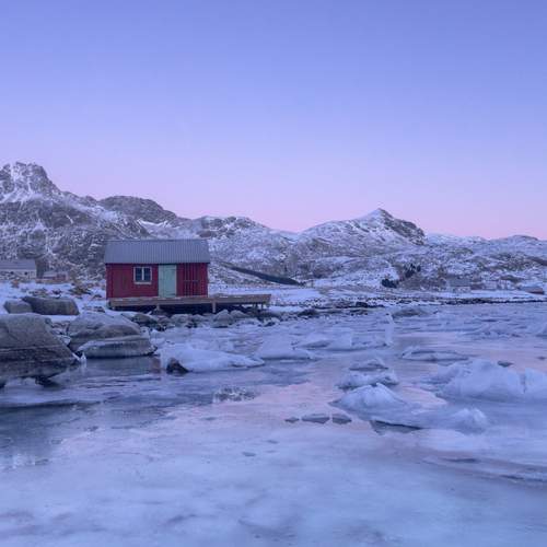 Photo #13342147