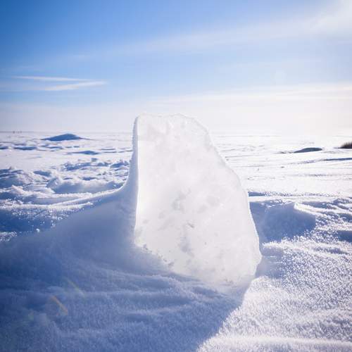 Photo #13342177