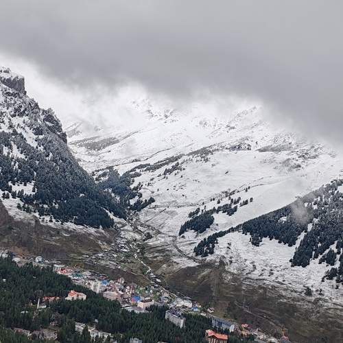Photo #13342189
