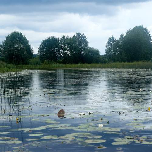 Photo #13342191