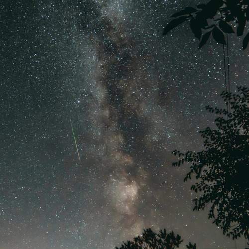 Photo #13342287