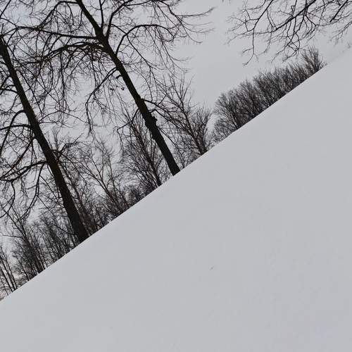 Photo #13342399