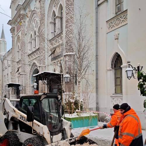 Photo #13342420