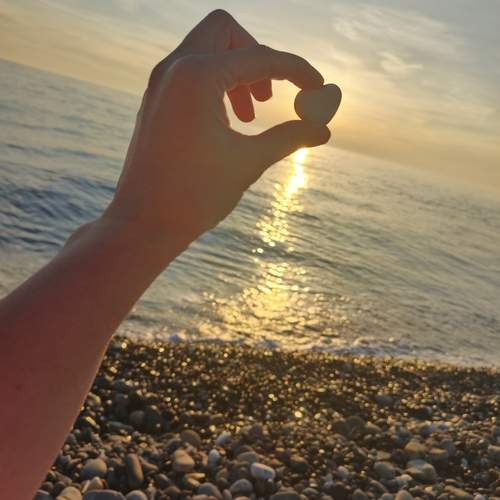 Photo #13342488