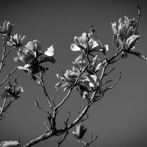 Photo #13342569