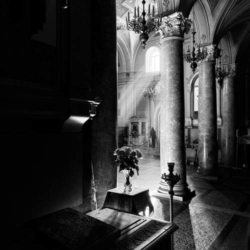 Photo #13342571