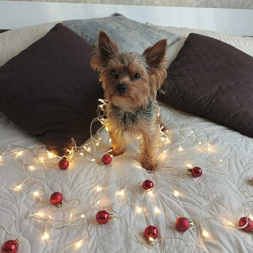 Photo #13342574