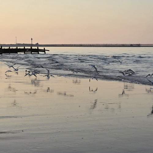 Photo #13342576
