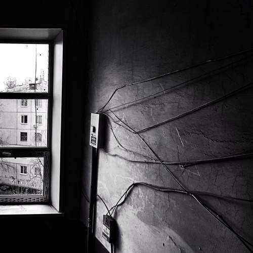 Photo #13342639