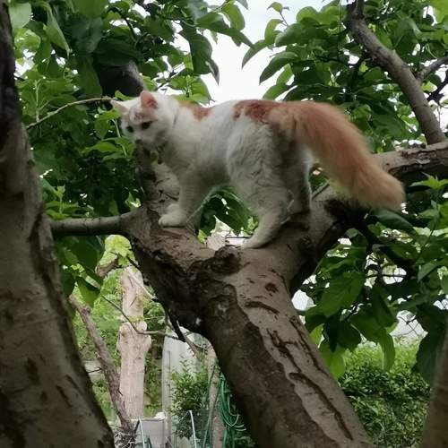 Photo #13342783