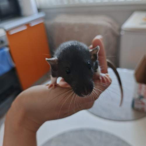 Photo #13342818