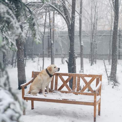 Photo #13342829