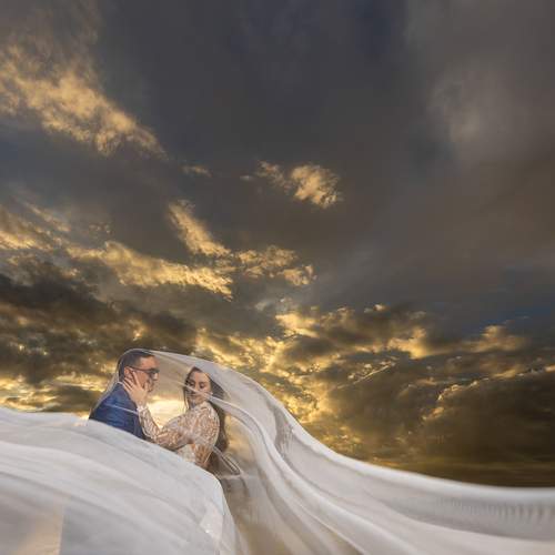 Photo #13343054