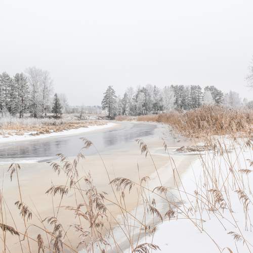 Река Улейма одним чудесным зимний деньком
