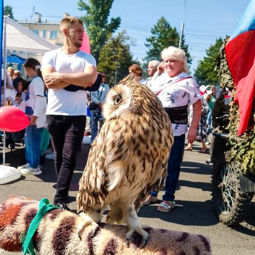 Photo #13343119