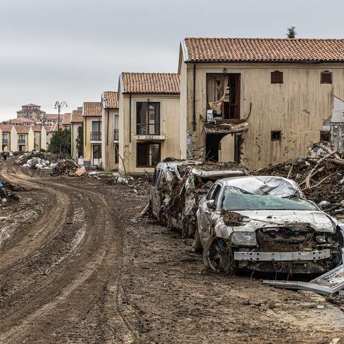 Life After the Flood | Жизнь после воды