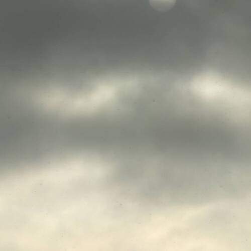 Photo #13343256