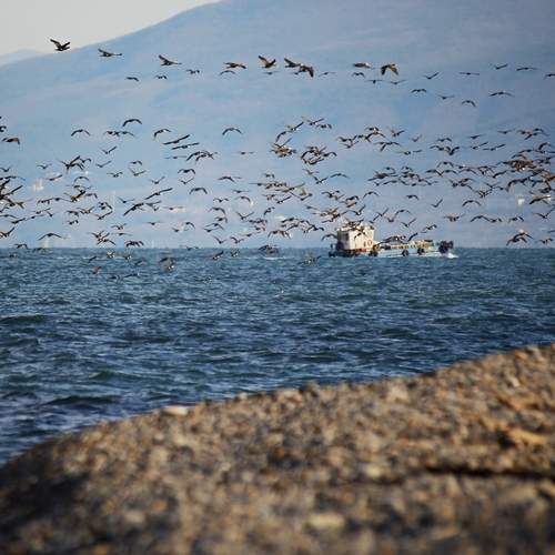 Photo #13343284