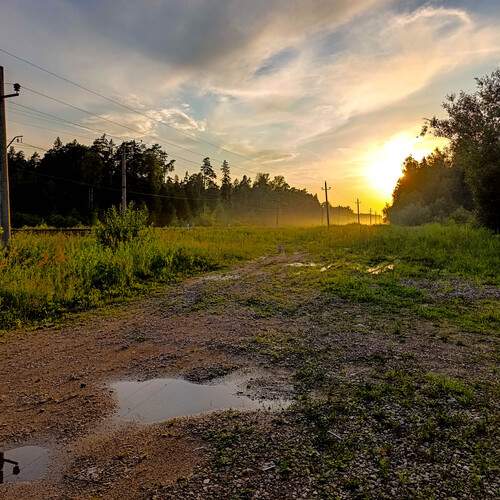 Photo #13343313