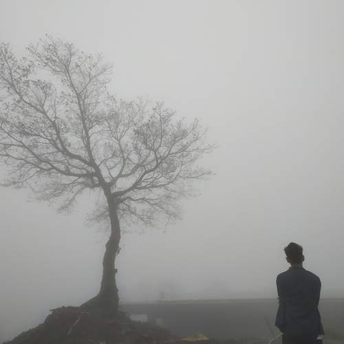 Photo #13343340