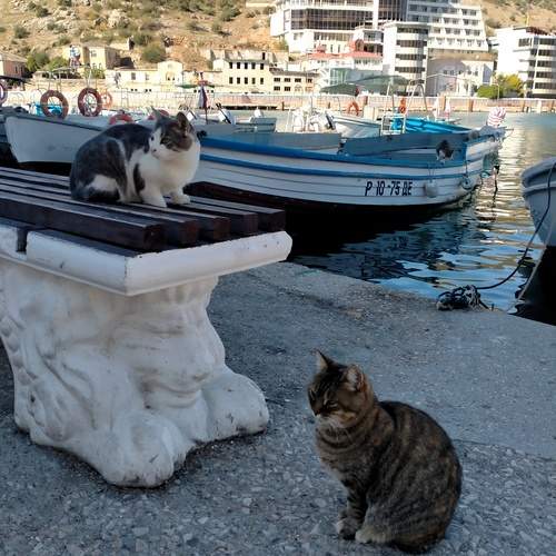 Photo #13343343