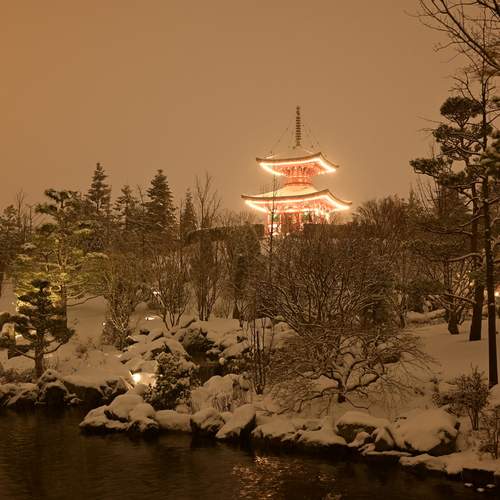 Photo #13343348