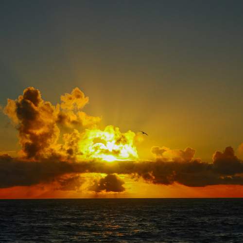 Photo #13343361