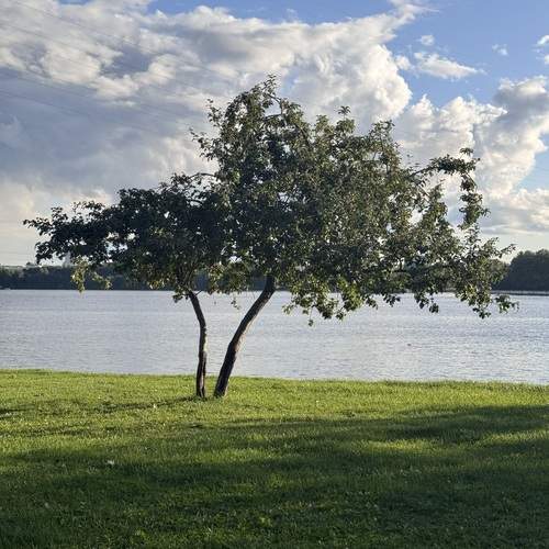 Photo #13343489