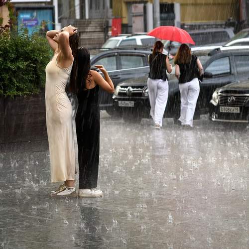 Photo #13343567