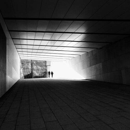 Photo #13343596