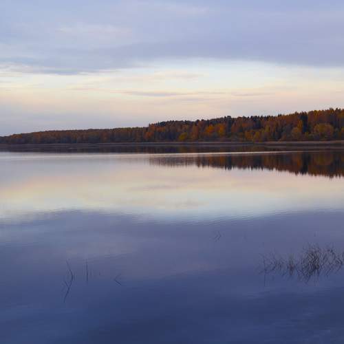 Photo #13343627