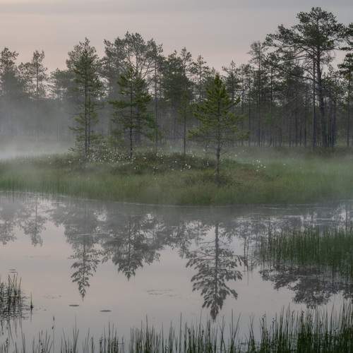 Фотография #13343661