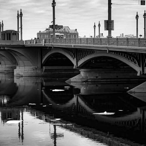 Photo #13343686