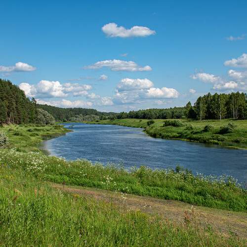 Photo #13343688