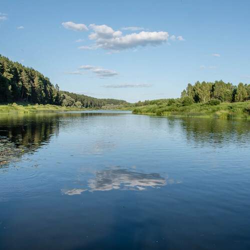 Photo #13343689