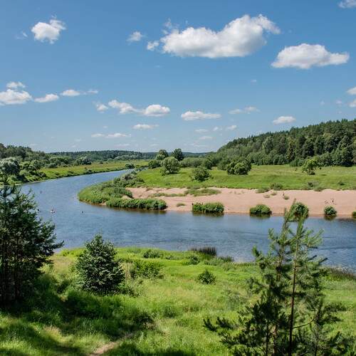 Photo #13343690