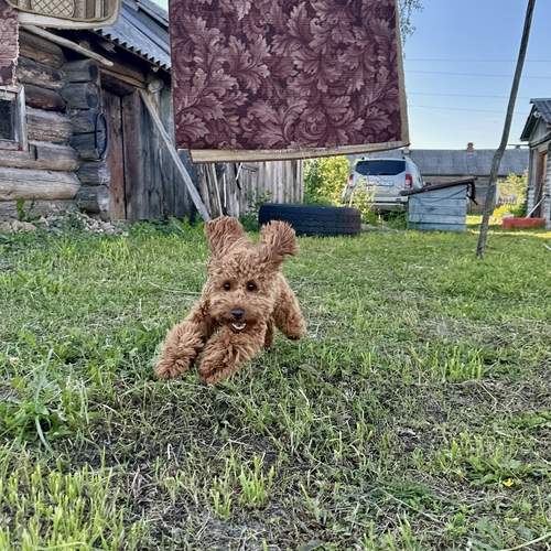 Photo #13343752