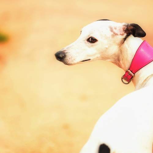 Photo #13343872