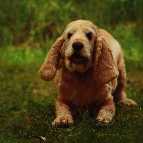 Photo #13343880