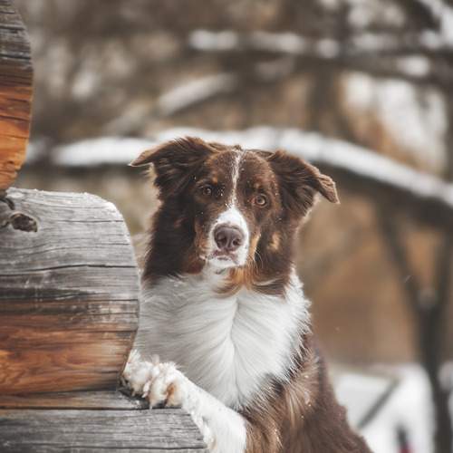 Photo #13343916