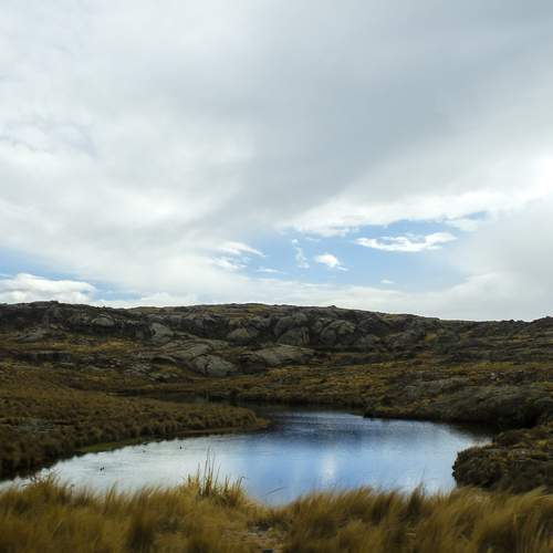 Photo #13343956
