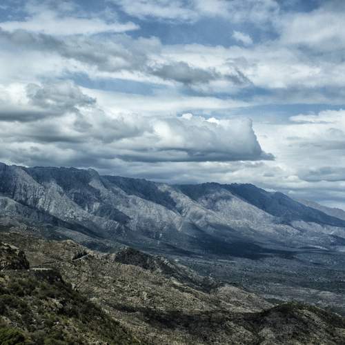 Photo #13344053