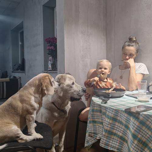 Photo #13344332