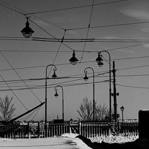 Photo #13344437