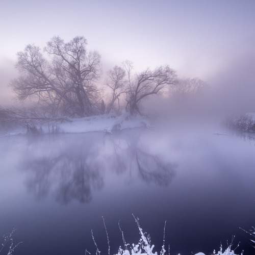 Розовый туман