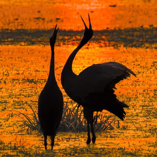 Фотография #13344571