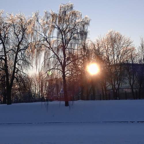 Photo #13344586