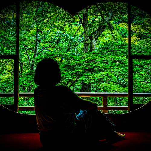 Photo #13344600